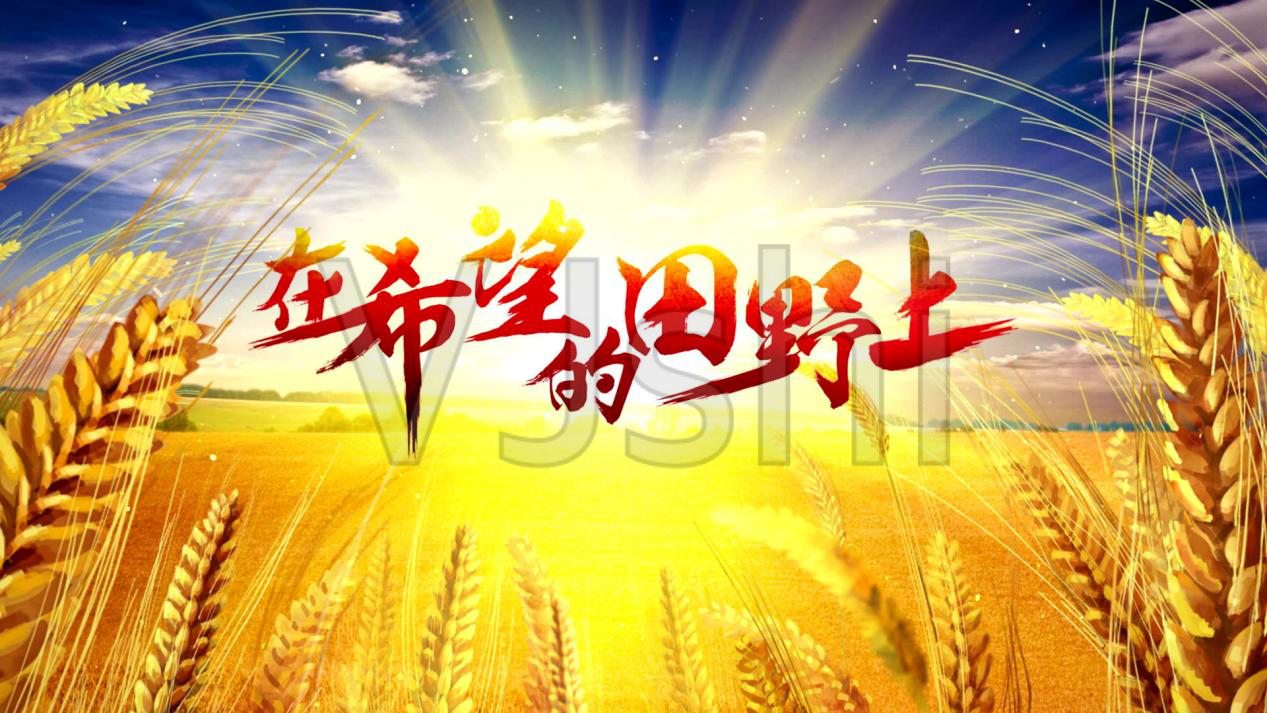 红色歌曲:《在希望的田野上》_红色文化_南昌工学院学生工作部(处)